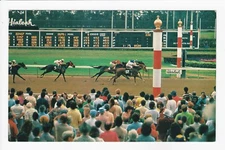 Finish Of Exciting Race At Hialeah Race Course Horse Racing FL Chrome Postcard