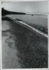 1971 Press Photo A Beach in Apostle Islands, Wis - mja19273