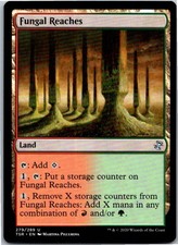 Fungal Reaches U Normal Time Spiral: Remastered 279 NM