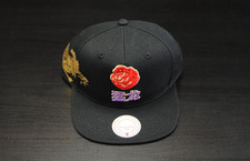 NEW MITCHELL AND NESS HHSS2988 TORONTO RAPTORS WATER TIGER SNAPBACK HWC BLACK