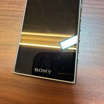 SONY ウォークマン NW-A106 デジタルオーディオプレーヤー 2346 SONY Walkman NW-A106 Digital Audio Player 2346 From Japan | eBay