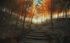 Landscape nature path fall stairs trees bamboo mist Custom Gaming Mat Desk