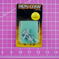 Warhammer 40K Iron Claw Imperial Adventurers, Rare OOP Classic Citadel Time Lord