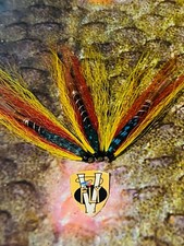 3 V Fly 2 inch Copper Ultimate Alta Garry Salmon Tube Flies & V1 Trebles 