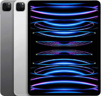 Apple iPad Pro - 4. Gen. (2022) 256GB Wi-Fi Space Grau StoreDeal #27