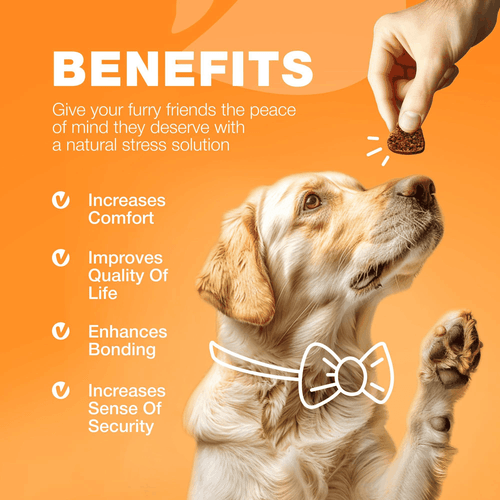Dog Allergy Relief Chews Anti Itch Dog Allergy Chews with Salmon Oil 12.7 oz - Picture 8 of 9