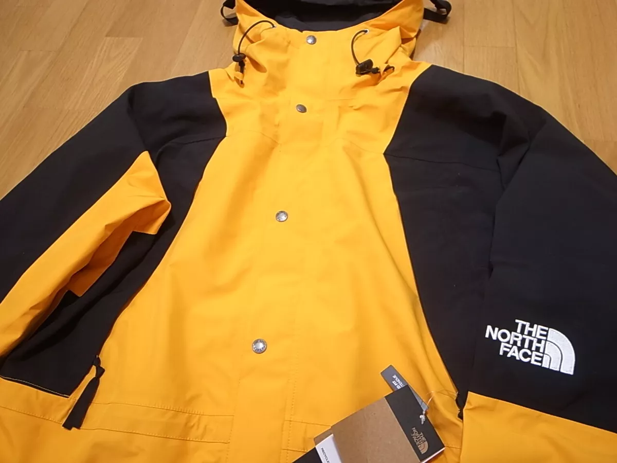 THE NORTH FACE 1994 RETRO MOUNTAIN LIGHT FUTURELIGHT JACKET SUMMIT