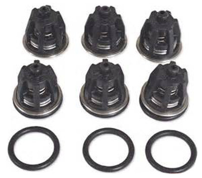 InterPump General Pump OEM Check Valve Kit 1 W/ O-Rings For EZ and TP Pumps 