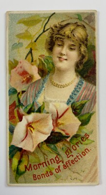 1892 N75 Duke Floral Beauties Morning Glories Bonds of Affection 125E