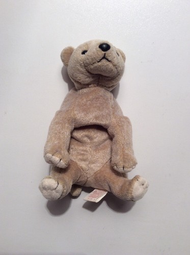 TY Beanie Baby Almond The Bear No Hang Tag - Picture 5 of 6