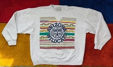 Vintage 90s crewneck sweatshirt Arizona Wildcats Southwest V stitch Cat Face Lrg