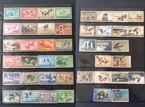US STAMPS SC# RW1-RW47 Collection of Federal Duck Stamps 43 Total CV $1830.00