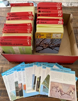 Vtg 1975-80 Editions Rencontre Mixed Lot of 1,700+ Animal Wildlife Safari Cards