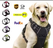 Collare e Pettorina Cane in Pelle con Guinzaglio Set Taglia Piccola Media Grande