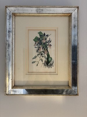 TWO Trowbridge Gallery Botanical Prints. euc