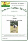 Bild 9 von 10