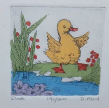 Framed Small Colored Etching - Duck - A. Field - 190/300