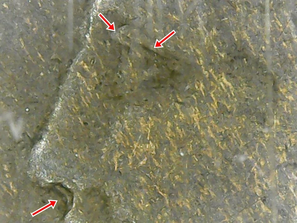 1873 NGC VG8 FS-101 S-1 DDO CL3 Double Liberty Doubled Die Obverse Indian Cent - Image 4 of 4