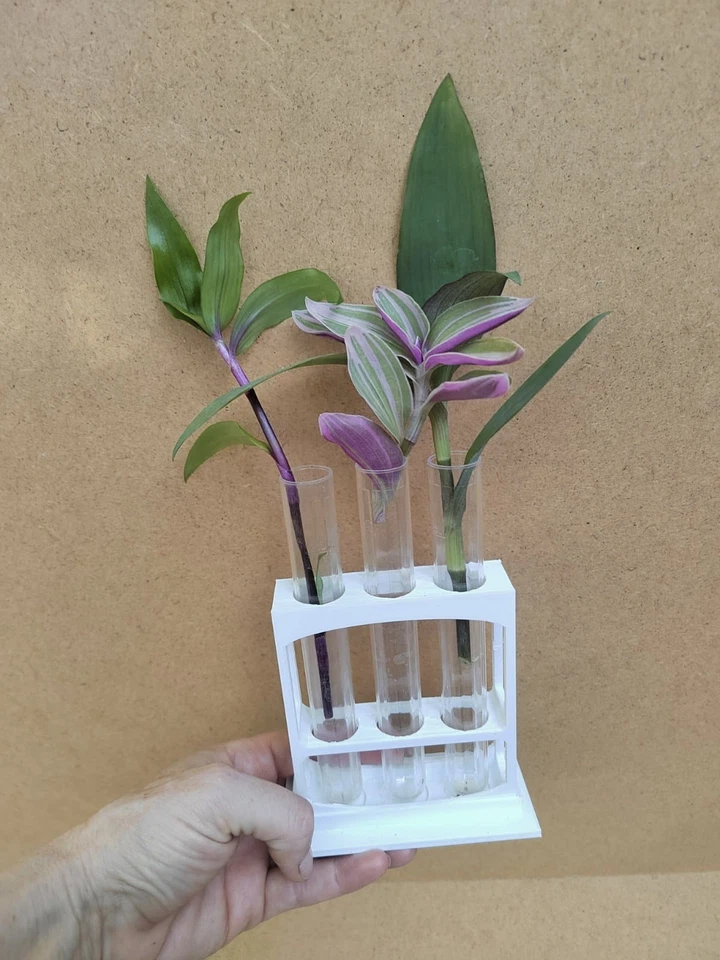 White Plant Propagation Stations + Tubes for Rooting Cuttings in different sizes - Image 4 of 4