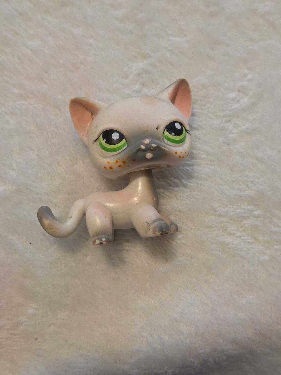 Littlest Pet Shop Authentic Shorthair Cat Grey Green Eyes LPS 125