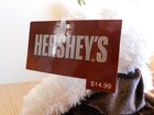 Hershey Stuffed Animal Teddy Bear White Plush 8" With Brown Chocolate Dress Cute — photo 5