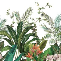 DB31700M - Daisy Bennett Baum Blatt GrüN Galerie Tapete Wandbild