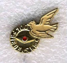 East German Germany 1966 Pin Badge Abzeichen Youth Tourist  KTW  100 Friedens