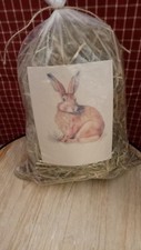 Primitive/Colonial Primitive Easter Spring Large Bag Bunny Grass Bowl Filler