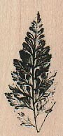 Leaf 1 x 2" Rubber Stamp, Nature Stamp, Plant Stamp, Flower Stamp