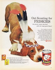 Anuncio de comida enlatada para perros FRISKIES VINTAGE AÑOS 60 - VESTIDO DE CABEZA CON PLUMAS BASSETT HOUND