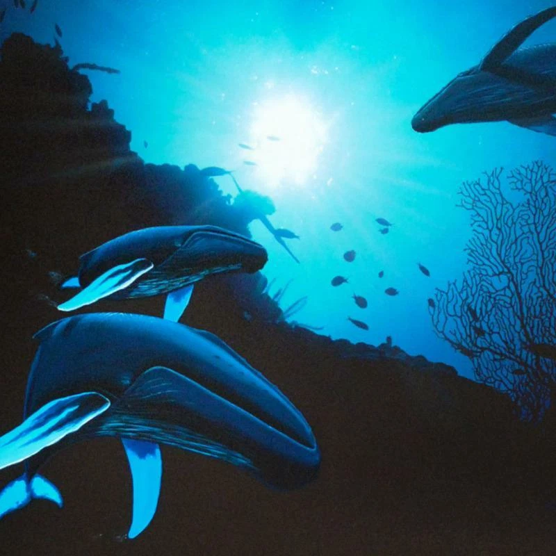Wyland "Whale Vision" Signed Canvas Limited Edition Art COA - Imagem 2 de 3