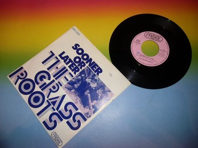 Grass Roots - Sooner Or Later - TOP RARE PROG*ROCK 7'' $
