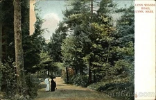 Lynn Woods Road,MA 1907 Boston,Mass Essex County Metropolitan News Co. 1c stamp