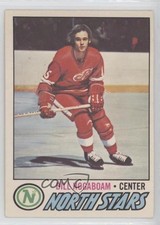 1977-78 O-Pee-Chee Bill Hogaboam #148 t4m