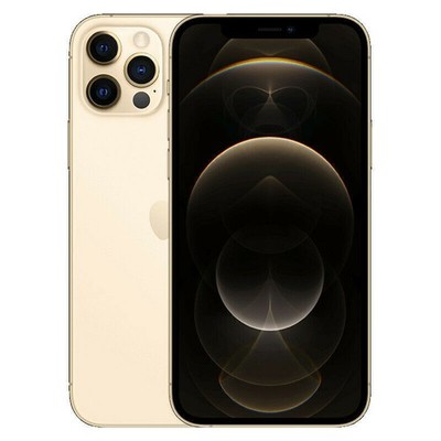 Apple iPhone 12 Pro Max - 256 GB - Graphite (Unlocked) for sale