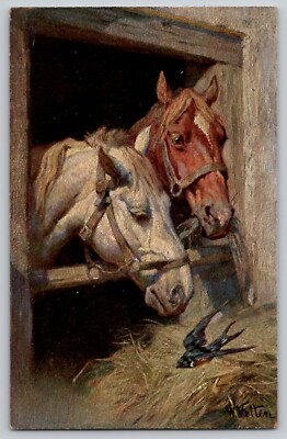 Two Horses Barn Swallow Series 55 Artist Signed W Velten Vtg UDB Postcard 1905