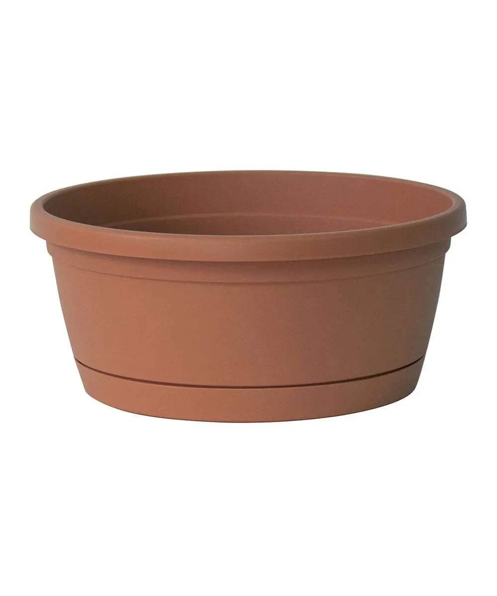 Collezione di vasetti di zenzero. - porcellana e ceramica