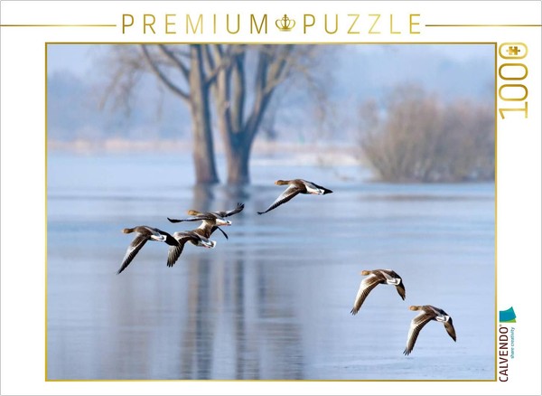 Calvendo Puzzle Flight Of The Geese | 1000 Pieces, Finished Size 25.2 × 18.9 In-image