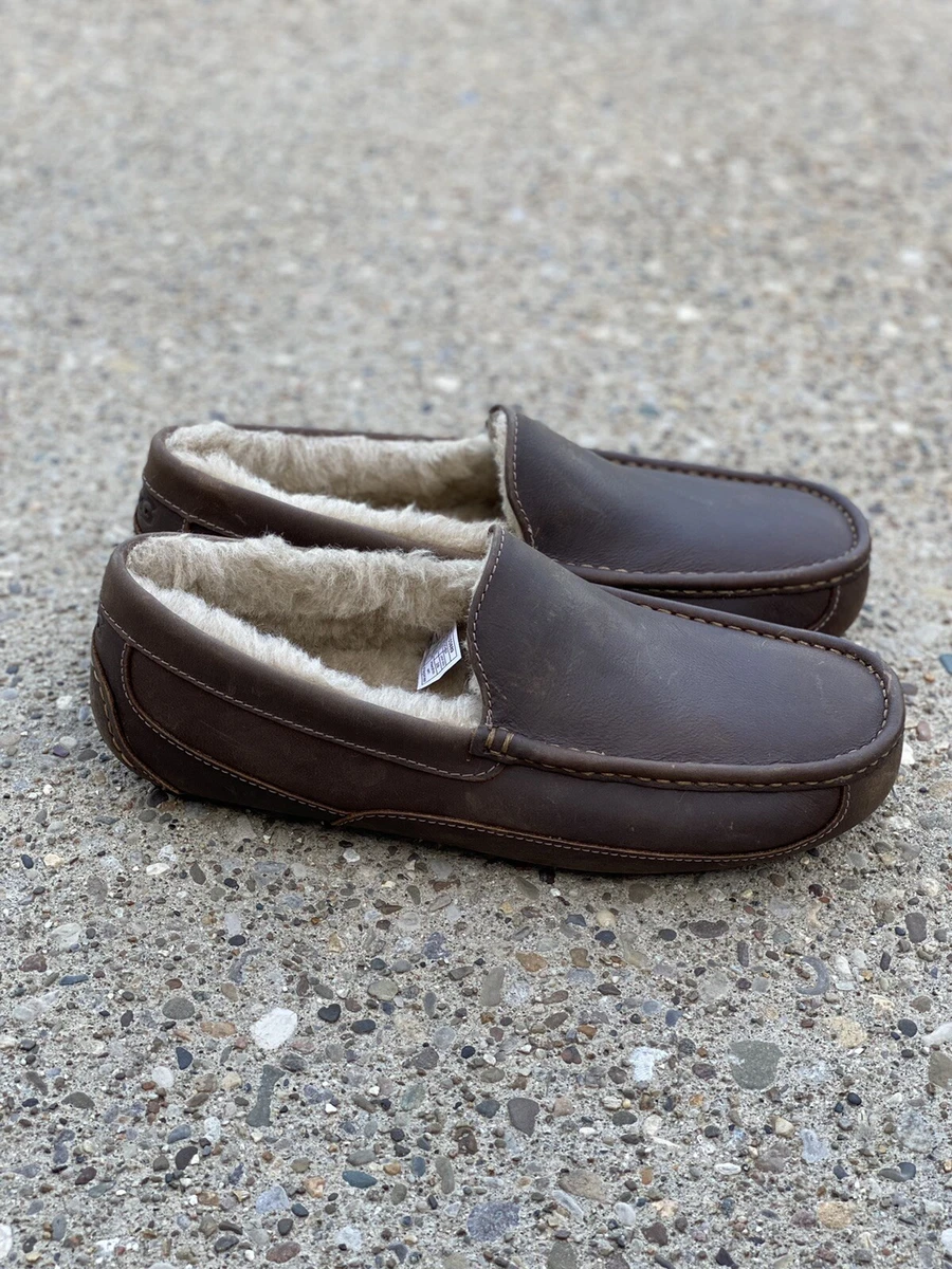 Mens ugg ascot hotsell slippers size 11
