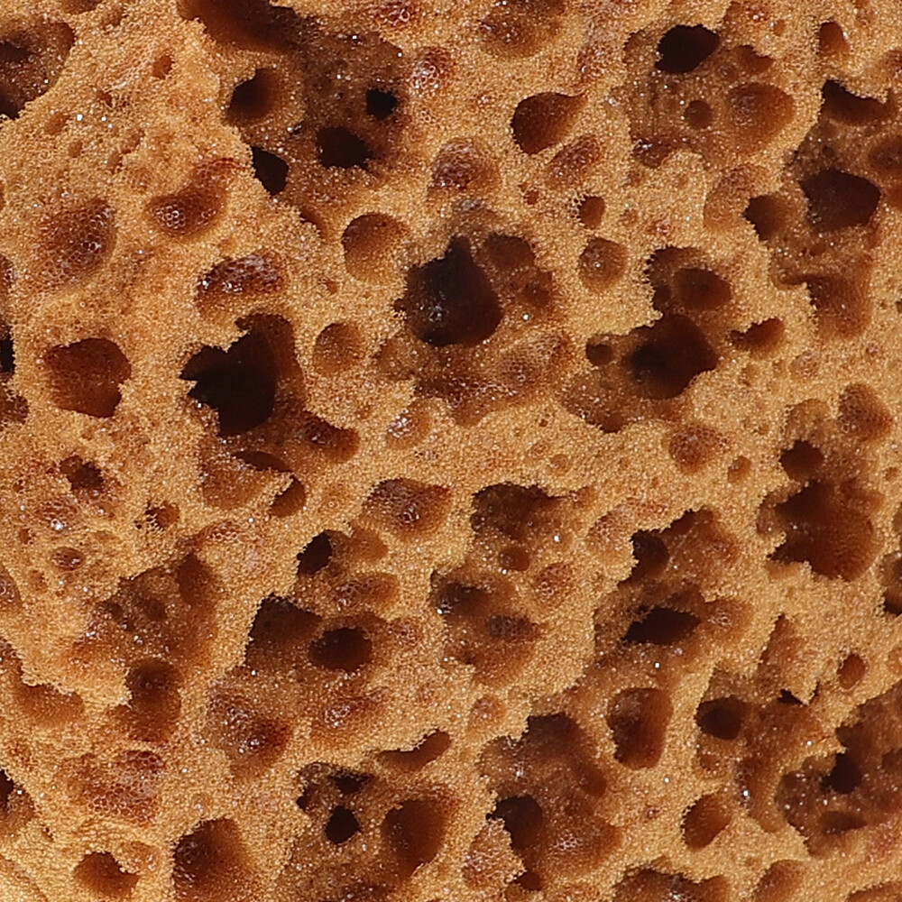 Picture 6 of 12