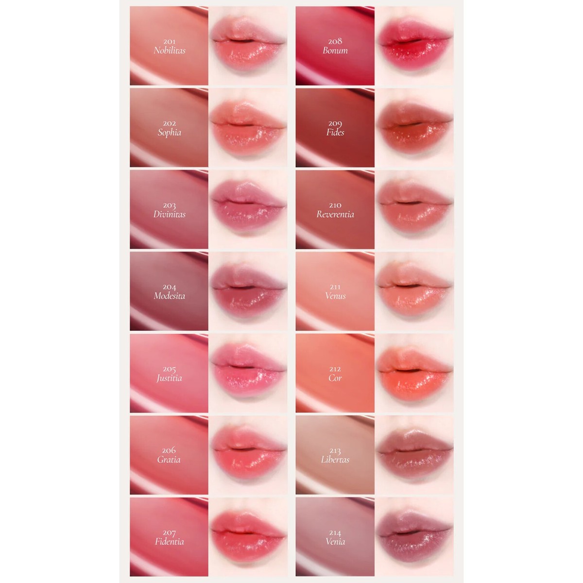 DINTO Blur-Glowy Lip Tint 3.5g 20 colors 2024 S/S Colors Add K