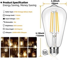 Edison Light Bulbs 7W ST58 E26 LED 60W Equiv 850LM 3000K Indoor 12-Pack