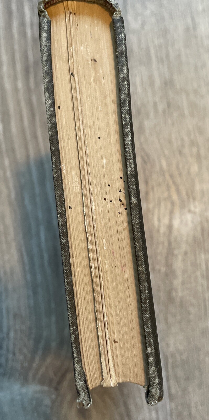 Picture 4 of 19