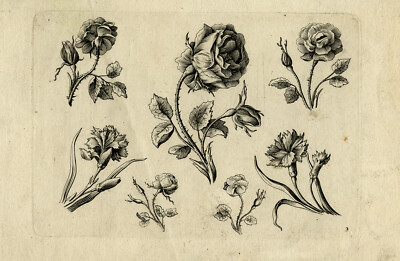 Antiker Meisterdruck-ORNAMENT-BLUMEN-ROSE-DIANTHUS-PL. 3-Preisler-Wust-ca. 1730