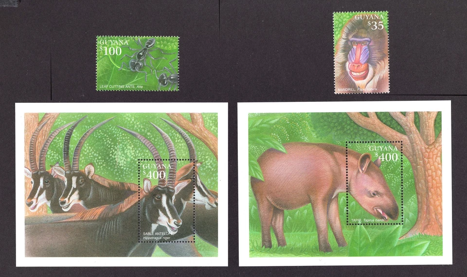 M28947 Guyana 2001 Tropical Rainforest X14 +X2m/s UMM Sg 6263/81 Foto 2 de 2