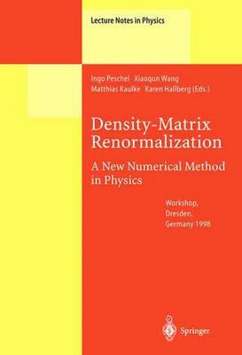 Density-Matrix Renormalization - A New Numerical Method in Ph... - 9783642085413