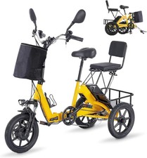 Folding Electric Tricycle for Adults,350W 480Wh Removable Battery,Dual-seater