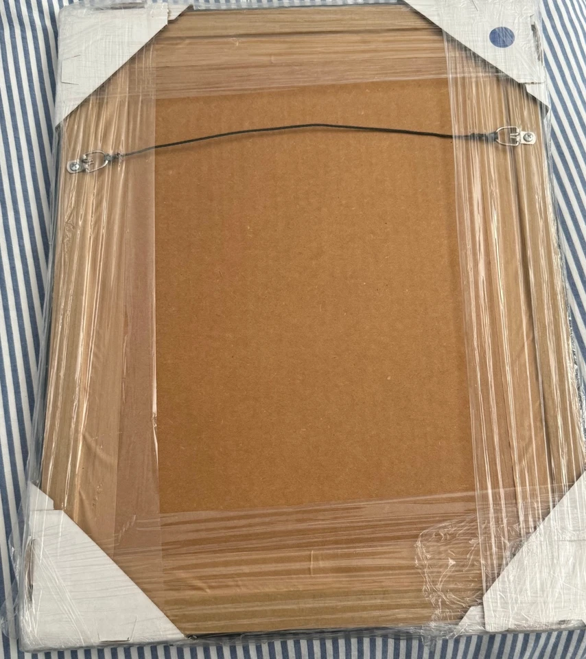 NJ Devils - Zach Parise, 8x10, Framed Photo - NHL authenticated - Image 2 of 3