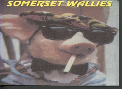 1 x QSL Karte Radio Somerset Wallies Radstock Bath Avon - Schwein   R722