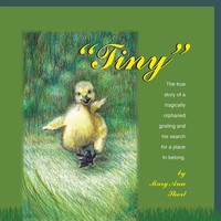 Mary Ann Short | Tiny | Taschenbuch | Englisch (2014) | Kartoniert / Broschiert